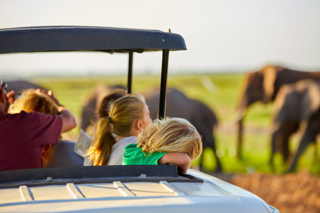Itinerary for a 14-Day Kenya Photo Special Safari