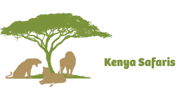 Wildfaces Safaris