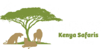 Wild Faces Safaris Logo